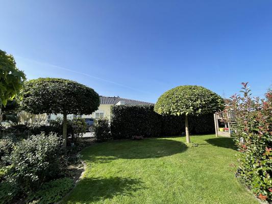 Garten- und Landschaftsbau Kasemir | Gartenpflege | Heckenschnitt