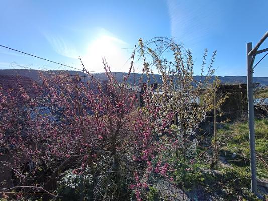 Gartenservice Gaal