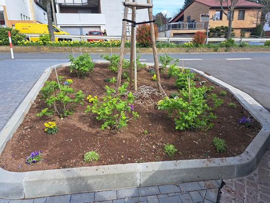 Forstwirt Timo Ketzer Forst- und Gartenarbeiten