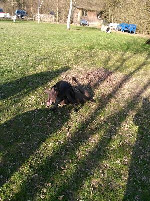 Andre Leinweber Garten und Landschaftsbau