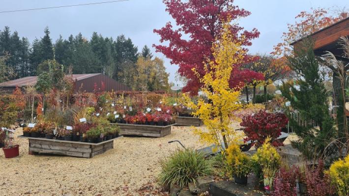 Baumschule Weyersbach Inh. Christian Rausche