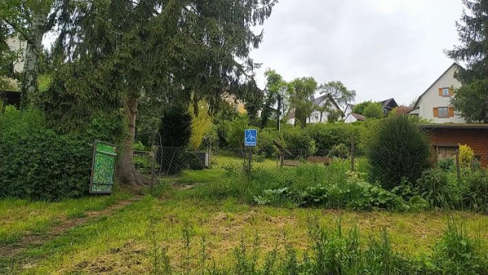Der Garten