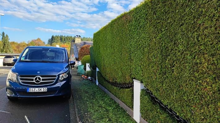 Burgsmüller Baum- und Gartenpflege