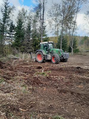 Stockhammer Baum- & Gartendienst