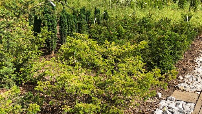 682ed637898ed