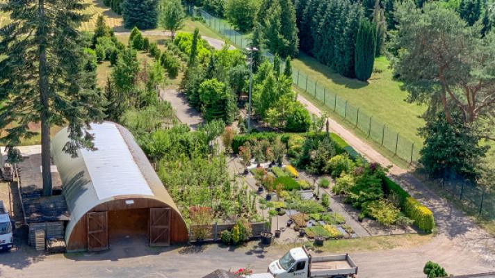 Will Baumschulen und Gartengestaltung