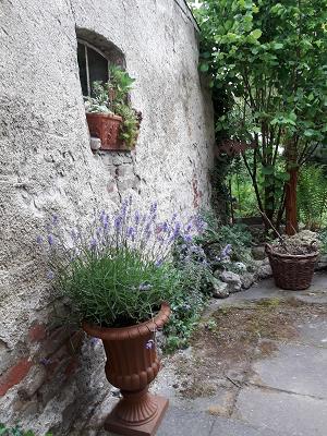 Alte Gärtnerei Waldbreitbach