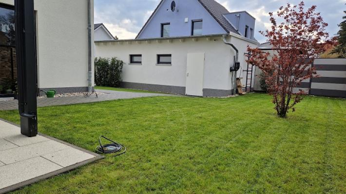 MLK GREEN | Haus + Garten