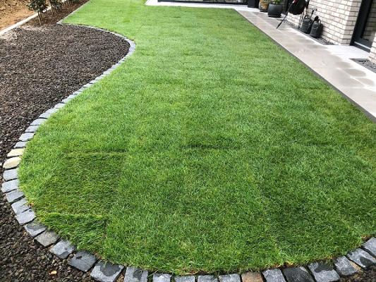 Sajjad Alsooz GaLaBau