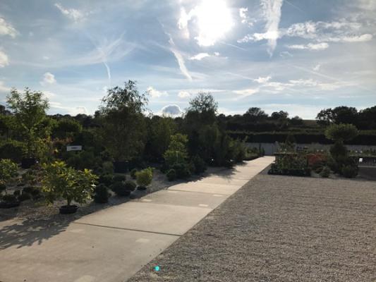 Rech - Ihr schöner Garten