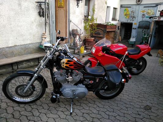 Schaupp Börny Fa. Haus & Grundstück