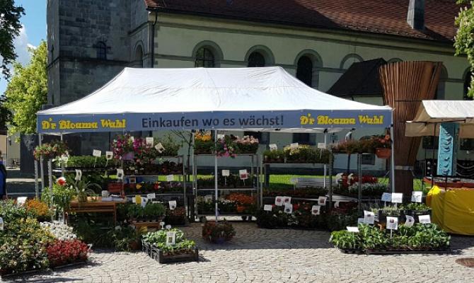 Bloama Wahl - Gärtnerei & Floristik