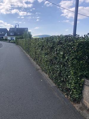 ATK Garten- und Landschaftsbau GmbH