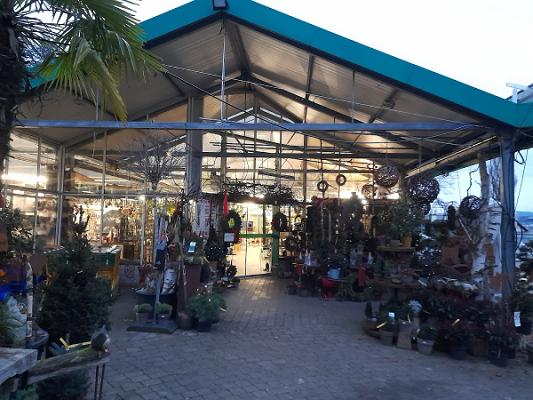 Pflanzenhof Schürg GmbH