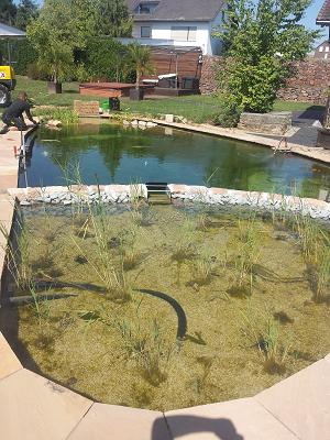 Sascha Imeri Gartendesign