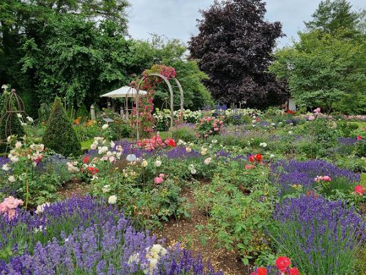 Garten Rücker