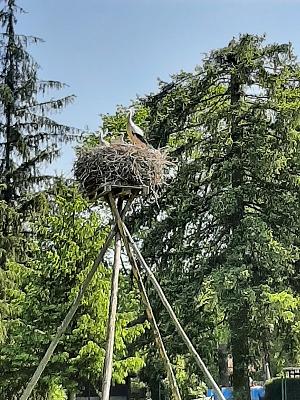 Gartenbau Empel