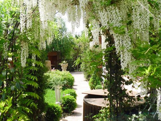 Garten und Landschaftspflege Thilo Schick