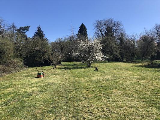 Garten- und Landschaftsbau Mandelbachtal: das-gruen
