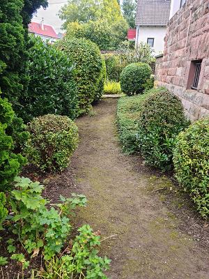 Julie und Kevin Freyes GbR Gartenpflege
