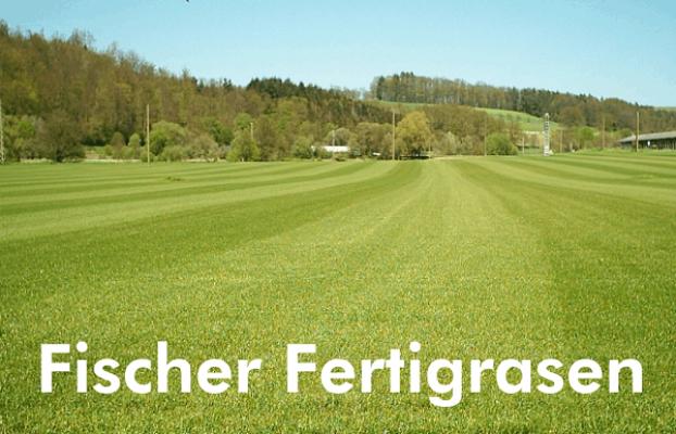 Fischer Fertigrasen