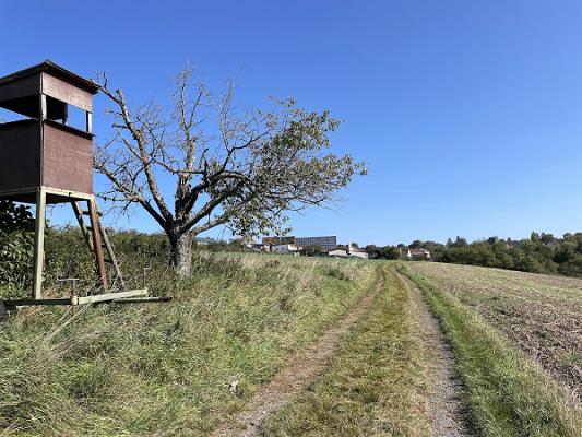 Markus Nafziger Erdbau, Landschaftsbau