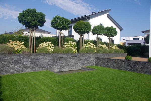 öbv-Sachverständiger für Gartenbau Martin Pfeiffer