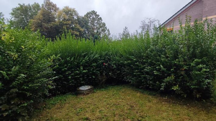 HGF Garten und Hausmeisterservice