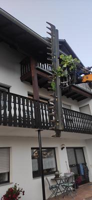 682ed9efa7b76