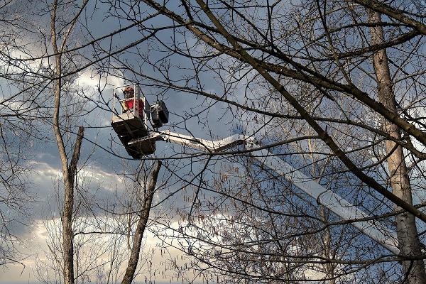 TFR Landschaftspflege GbR