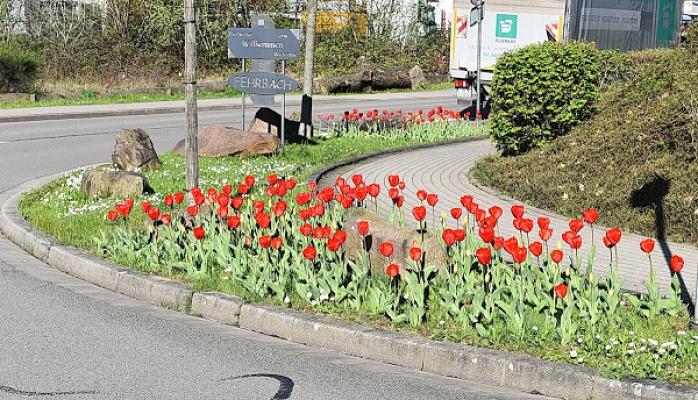 Stadtgärtnerei Pirmasens