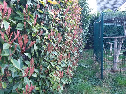 Feig GaLaBau & Hausservice