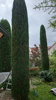 682edafec82ec