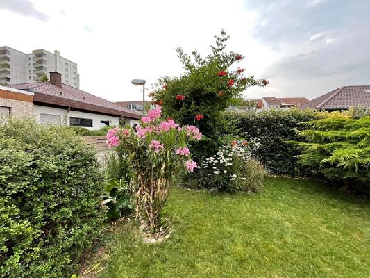 Wild Garten- und Landschaftsbau