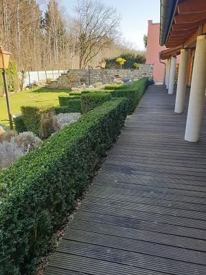 Garten und Landschaftspflege Thorsten Witt