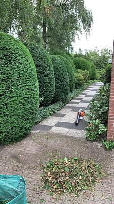 Gartenpflege & Hausmeisterservice Markus Puschzian