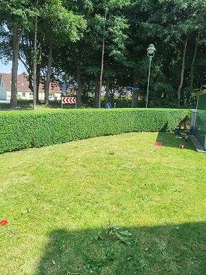 Damasq Garten & Bau Allrounder