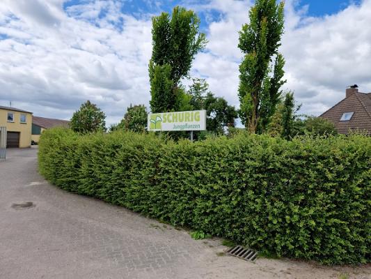 Schurig Jungpflanzen Inh. Arnd Schurig e.Kfm.