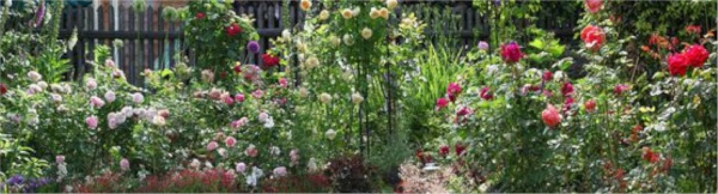 682edbe2bd651