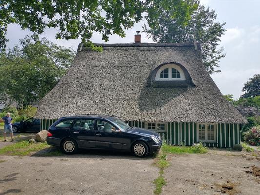 Kiebitzreiher Pflanzenhof Ahrens