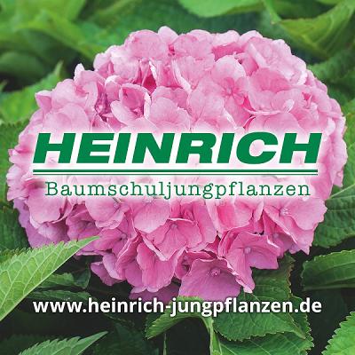 Heinrich Baumschuljungpflanzen OHG