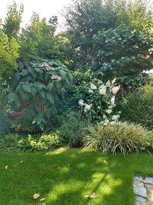 pro-hortus Gartenservices