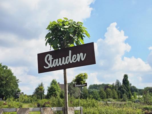 TERRA-Baumschule-Garten Gartencenter Pflanzencenter Heckenpflanzen Bäume