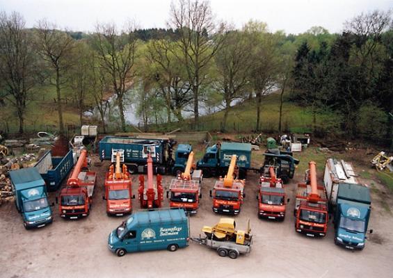 Baumpflege Bollmann GmbH