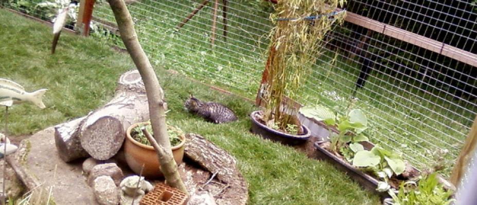 Garten- und Landschaftsbau Asmussen