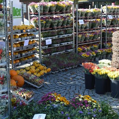 Blumen-Garten-Miller