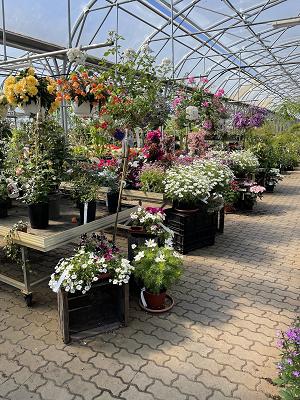 TANNENHOF Uhlendorf GbR