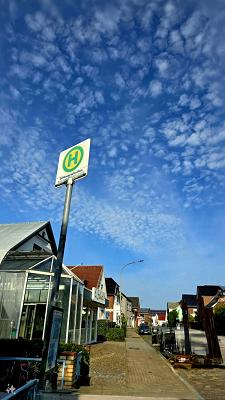 Scholz Gartenbau UG & Co. KG