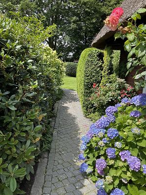 Dithmarscher Haus und Gartenservice