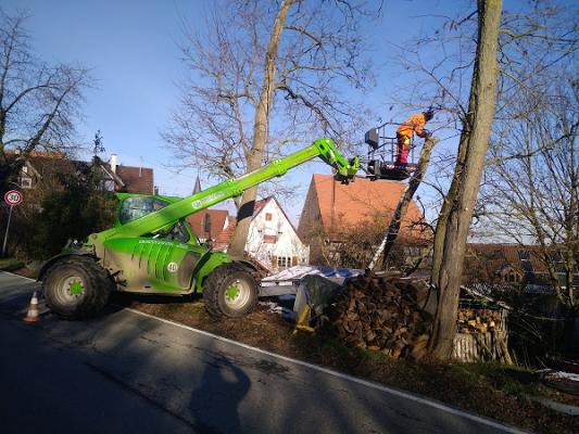 Berendt Gartengestaltung GmbH